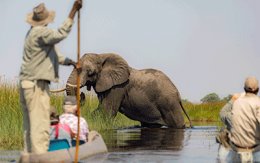 Botswana - Okavango Delta & Chobe