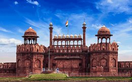 Call of Wild & Romantic Taj Call of Wild & Romantic Taj