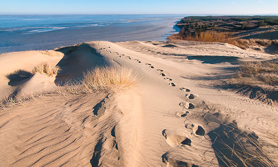 Daiva Cirtaut-Ã¹_Curonian spit.jpg