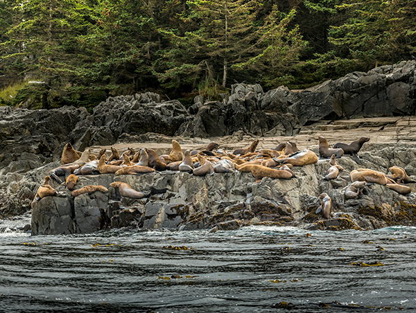 Haida-Gwaii-3.jpg