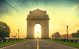 The Best Exotic Marigold Tour The Best Exotic Marigold Tour