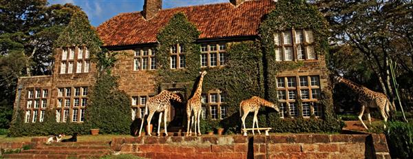 giraffe-manor1 (1) (Custom).jpg