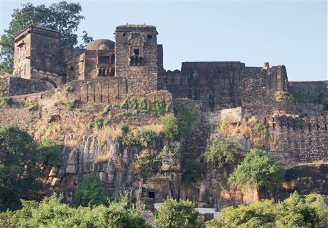 ranthambore_park_52 (Custom).jpg